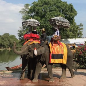 Passeggiata dorso elefanti, Ayutthaya