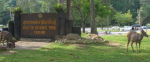 Parco Nazionale di Khao Yai