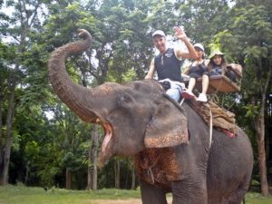 Trekking con gli elefanti.