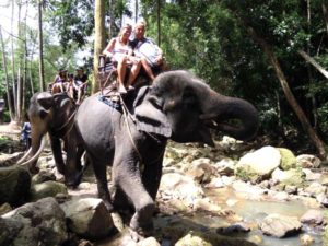 Trekking con gli elefanti