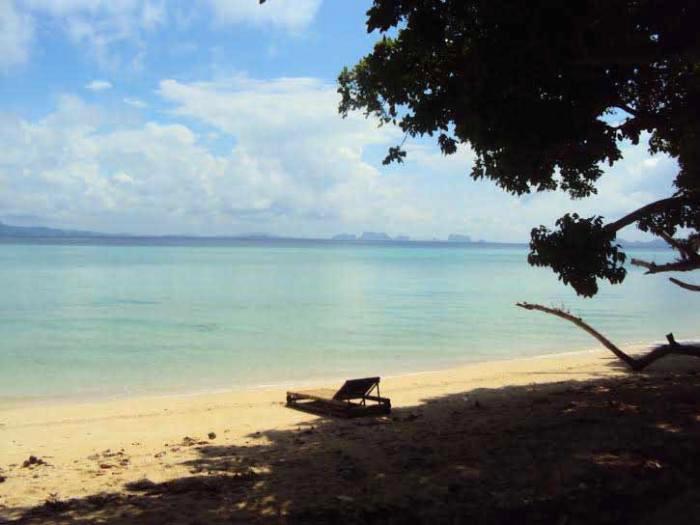 Coral garden, Koh Kradan